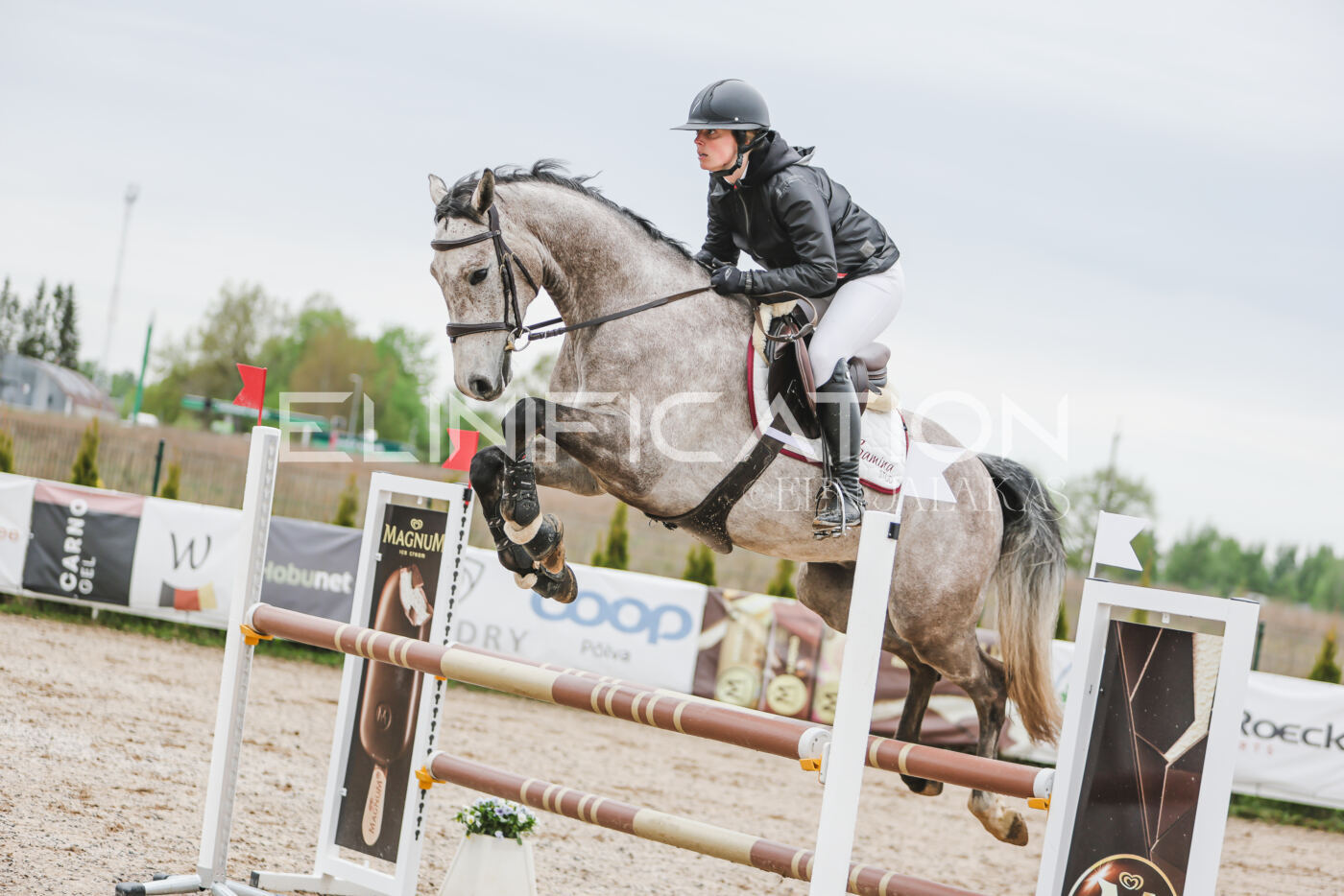 Gramina_Kevad_2026_105_030