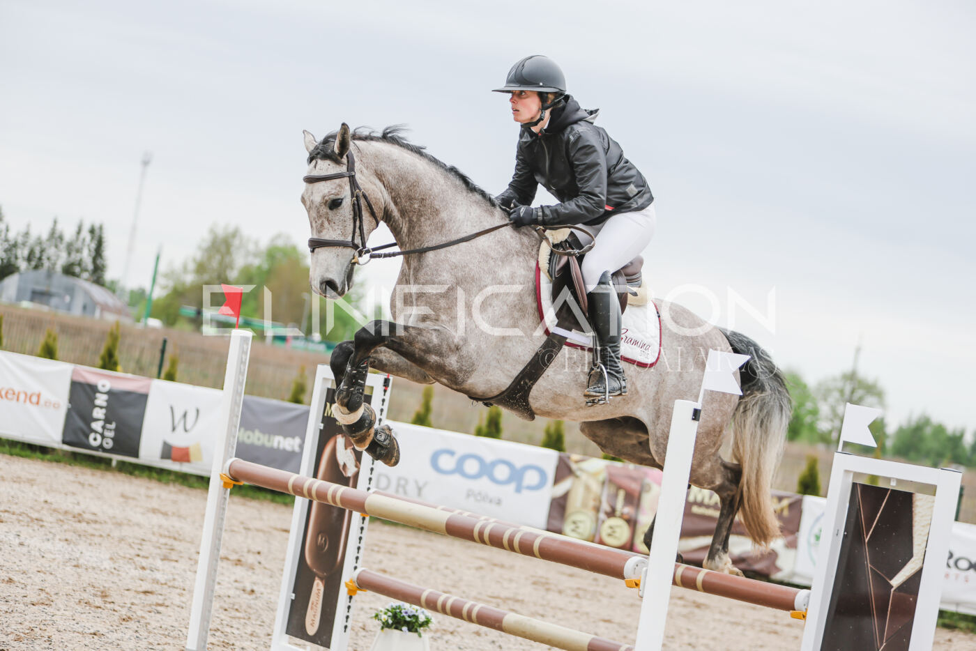 Gramina_Kevad_2026_105_031