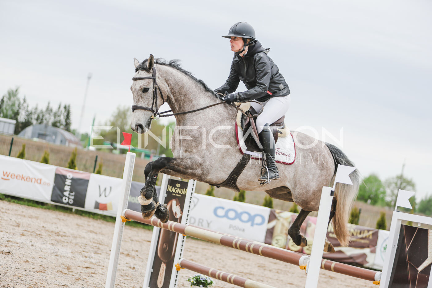 Gramina_Kevad_2026_105_032