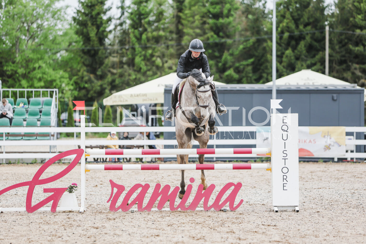 Gramina_Kevad_2026_105_033