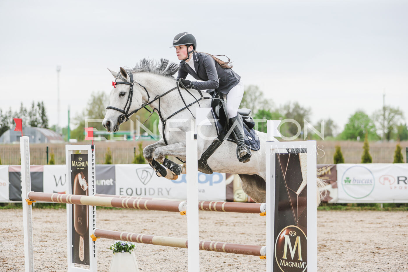 Gramina_Kevad_2026_105_045