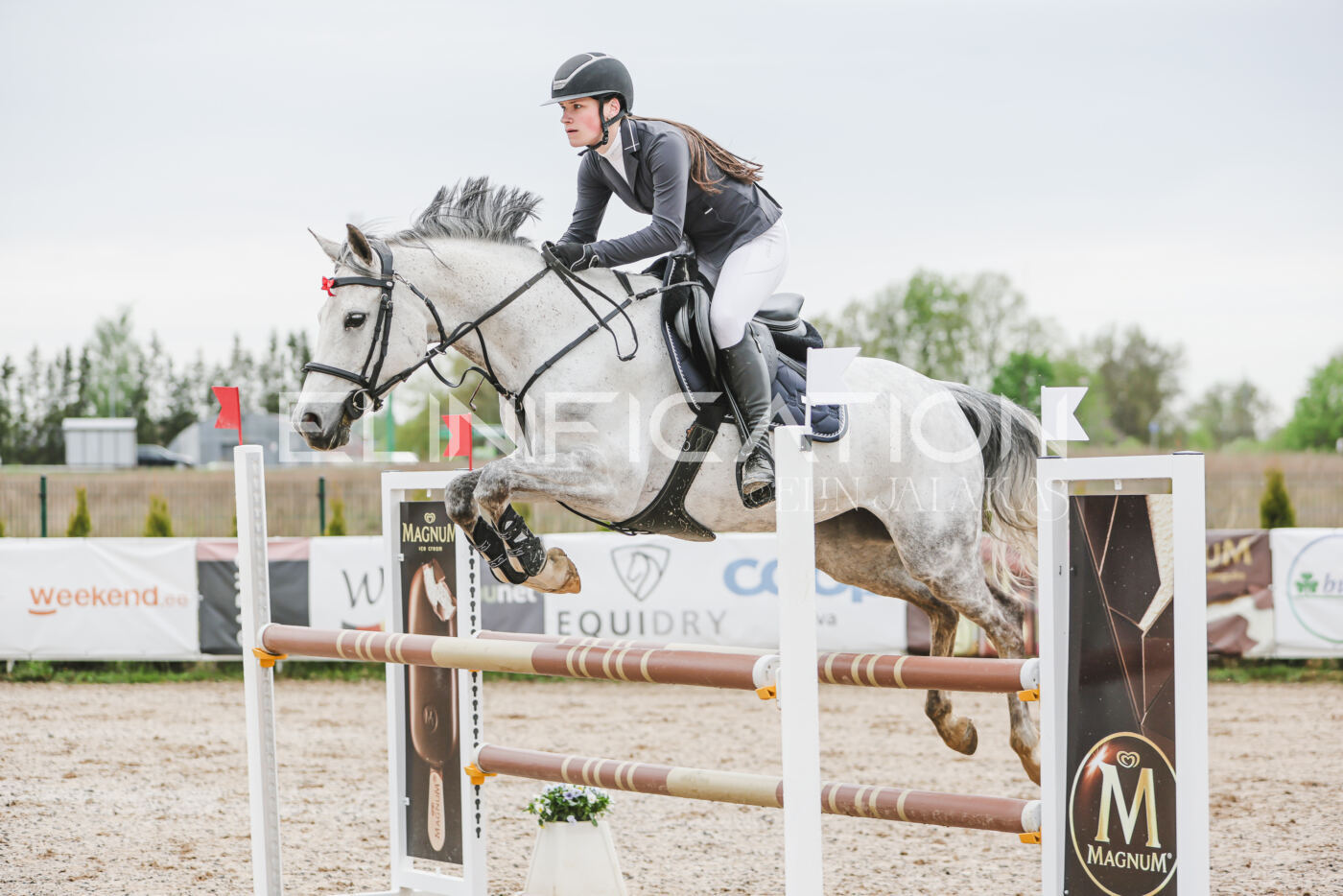 Gramina_Kevad_2026_105_047