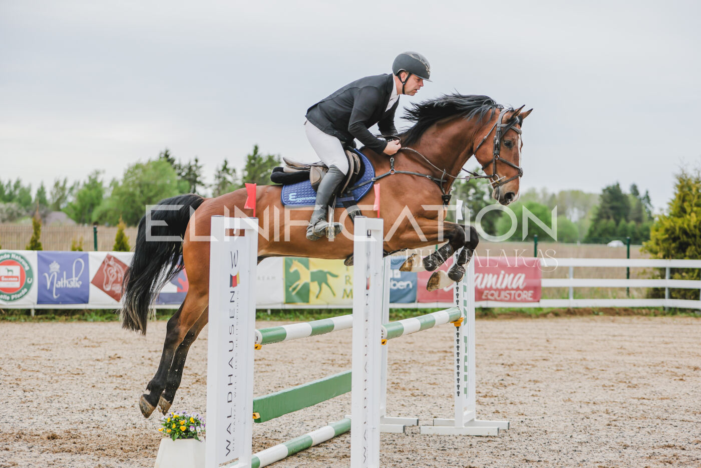 Gramina_Kevad_2026_105_050