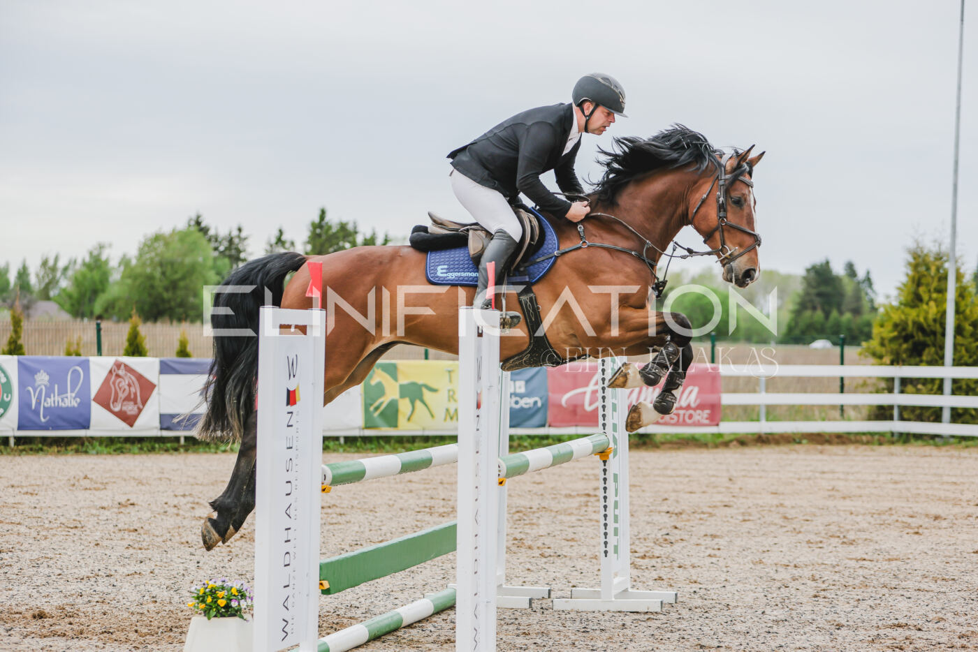 Gramina_Kevad_2026_105_051
