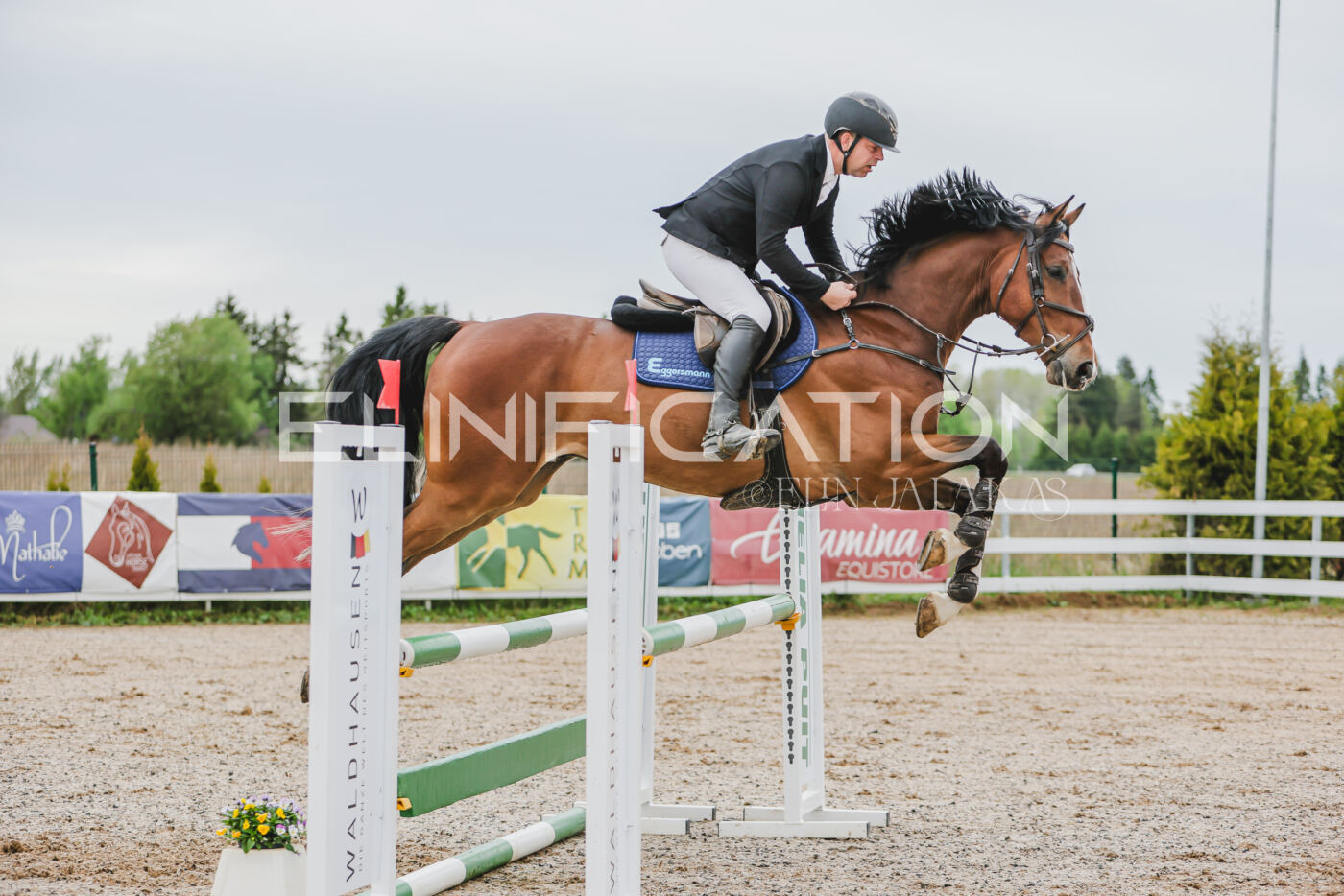 Gramina_Kevad_2026_105_052