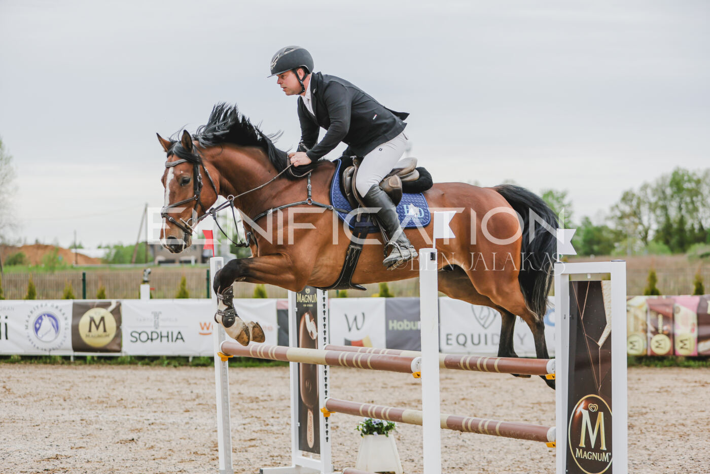 Gramina_Kevad_2026_105_056