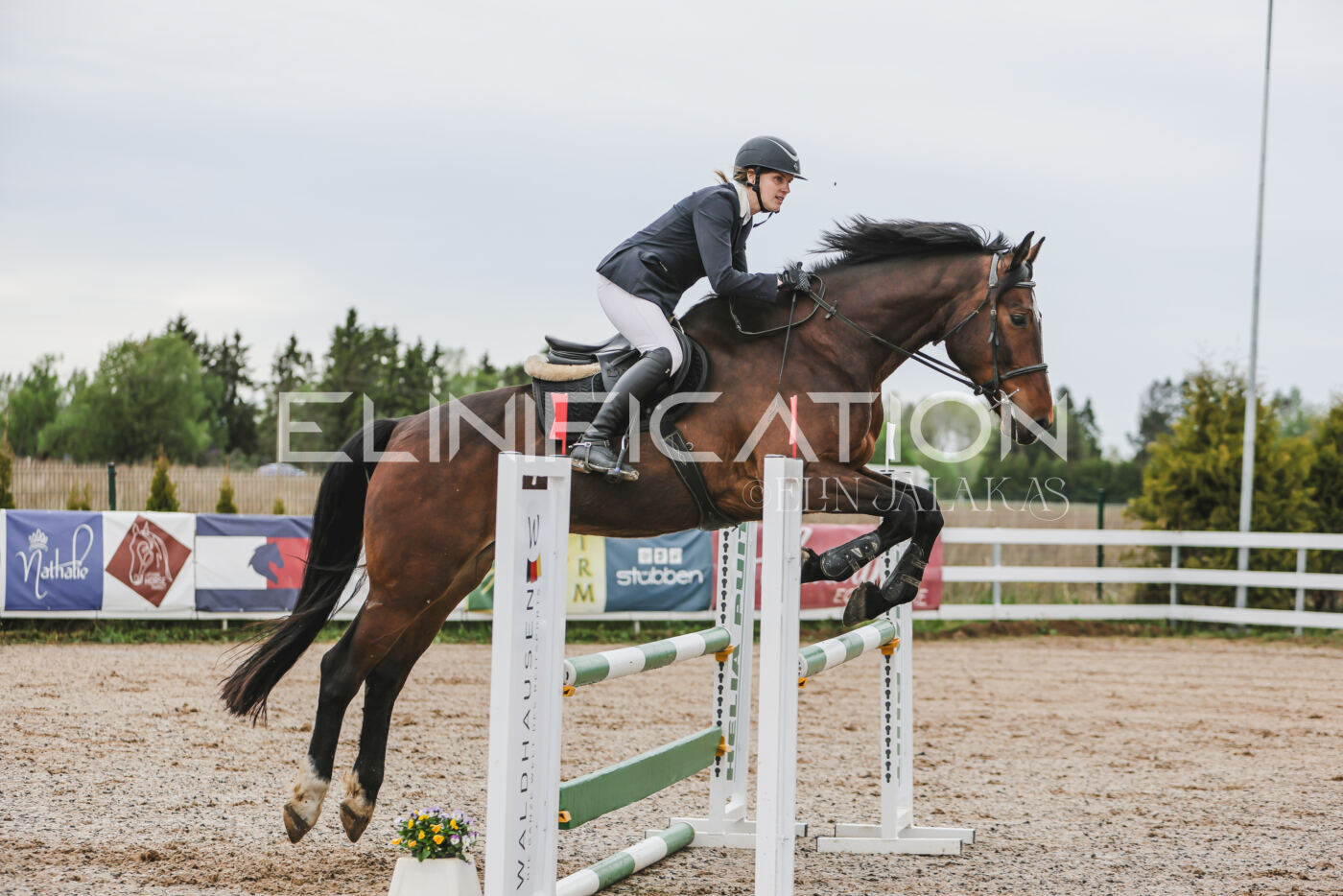 Gramina_Kevad_2026_105_062