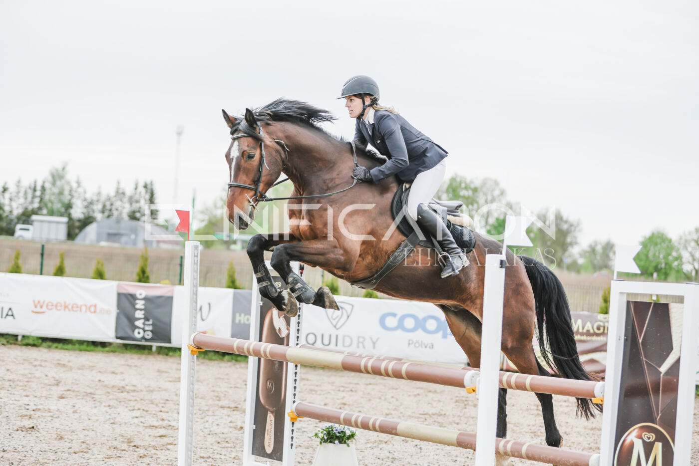 Gramina_Kevad_2026_105_068