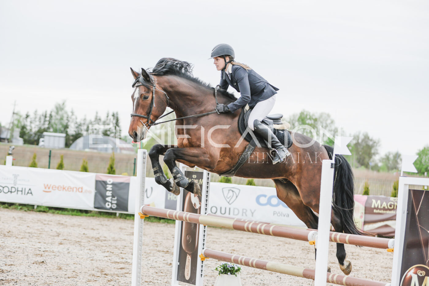 Gramina_Kevad_2026_105_069