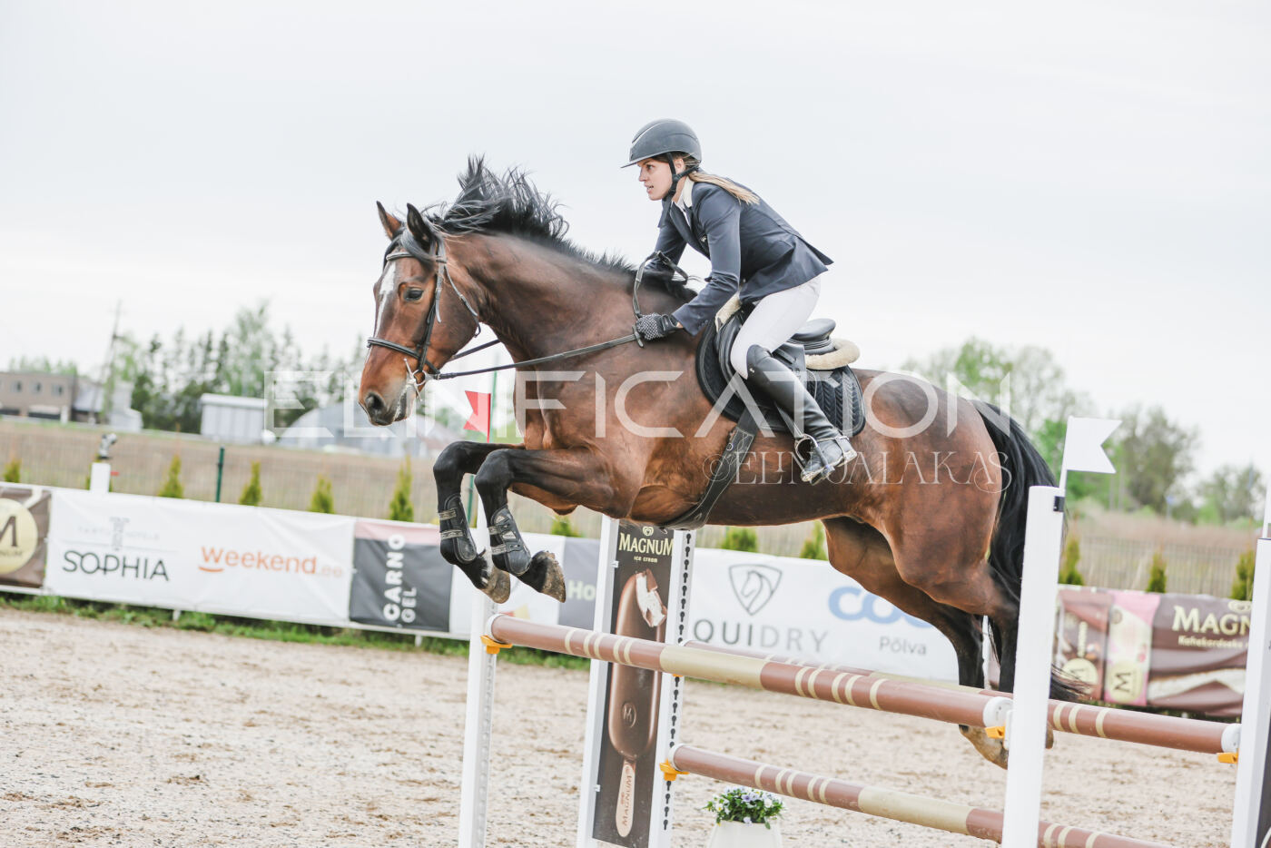 Gramina_Kevad_2026_105_070