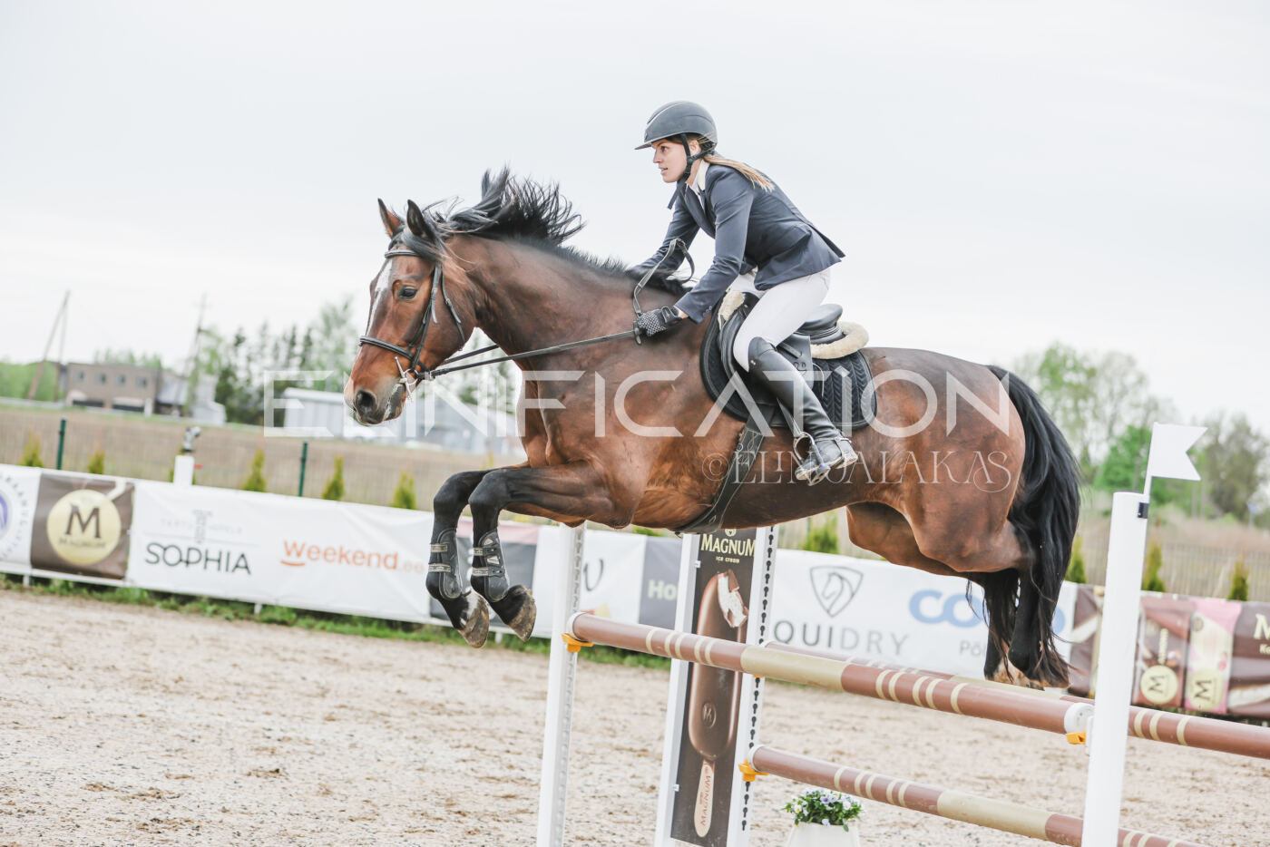 Gramina_Kevad_2026_105_071