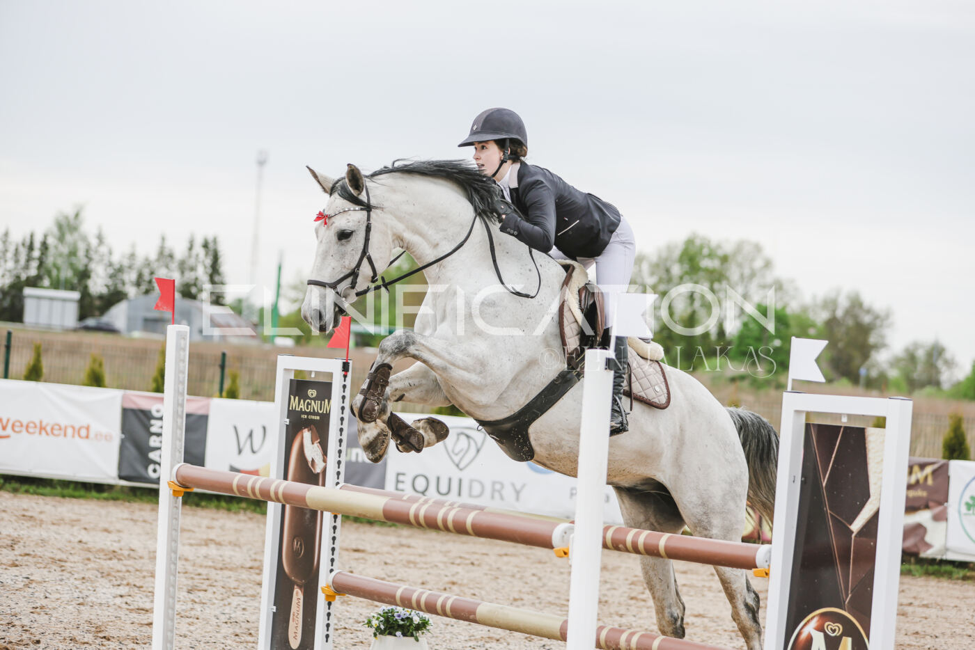 Gramina_Kevad_2026_105_083