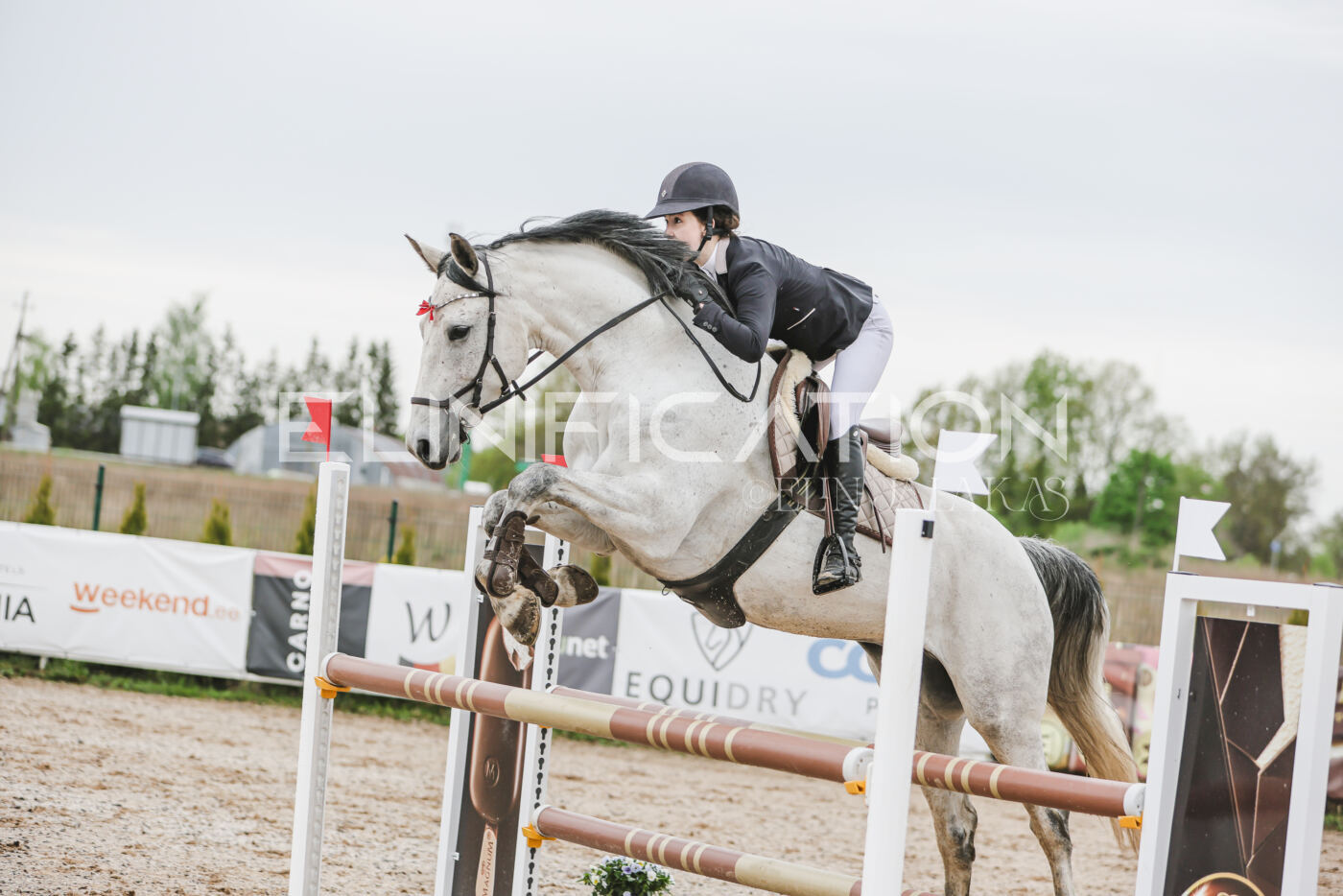 Gramina_Kevad_2026_105_084