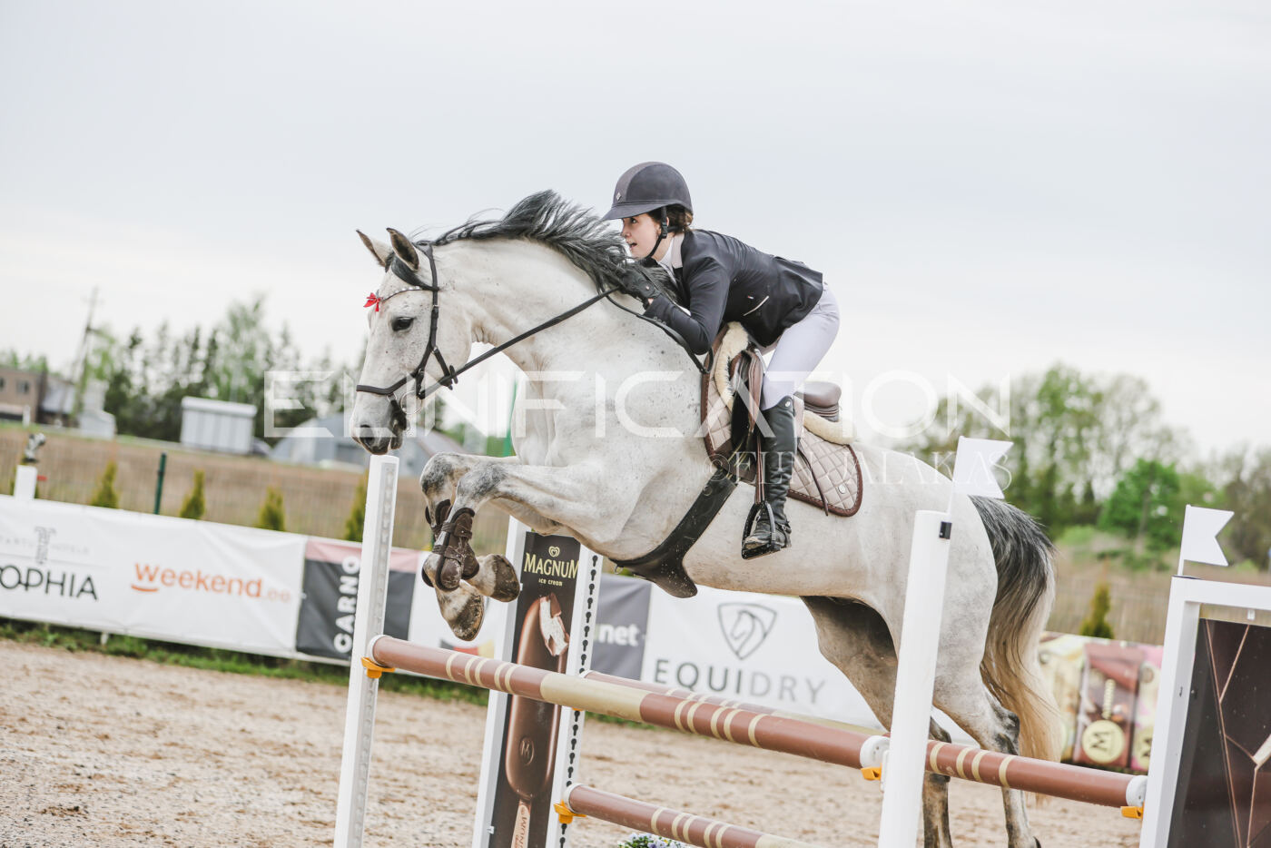 Gramina_Kevad_2026_105_085