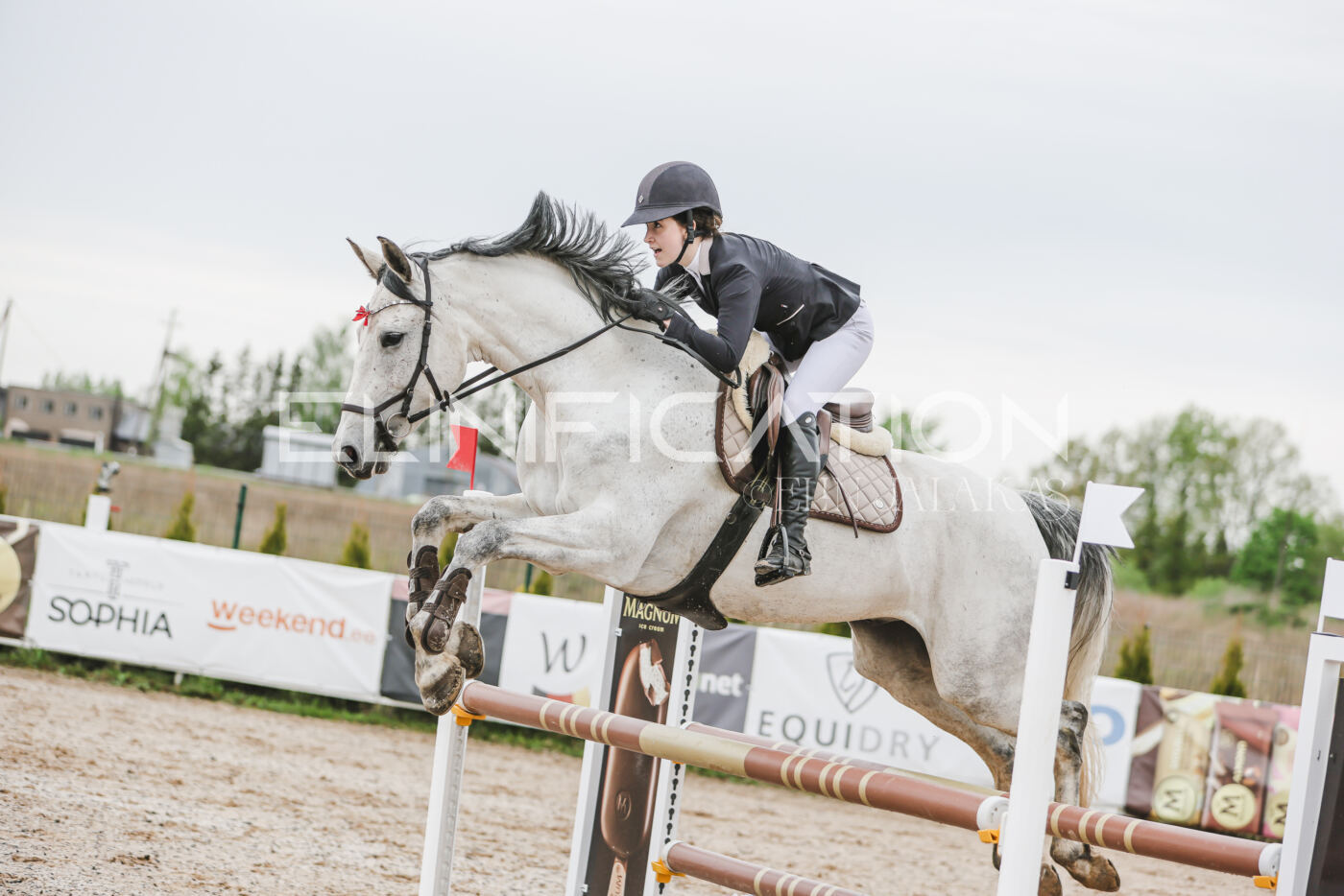 Gramina_Kevad_2026_105_086