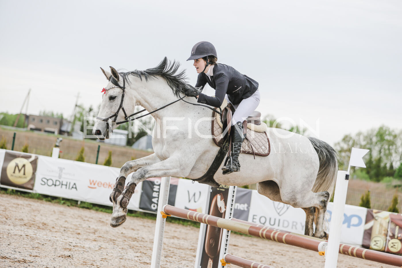 Gramina_Kevad_2026_105_087