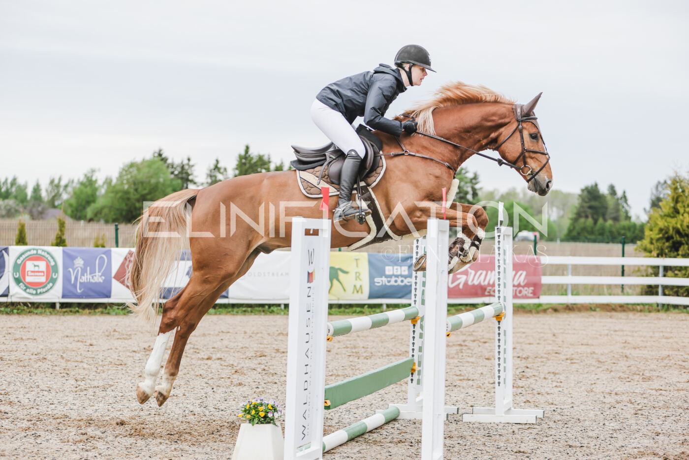 Gramina_Kevad_2026_105_090