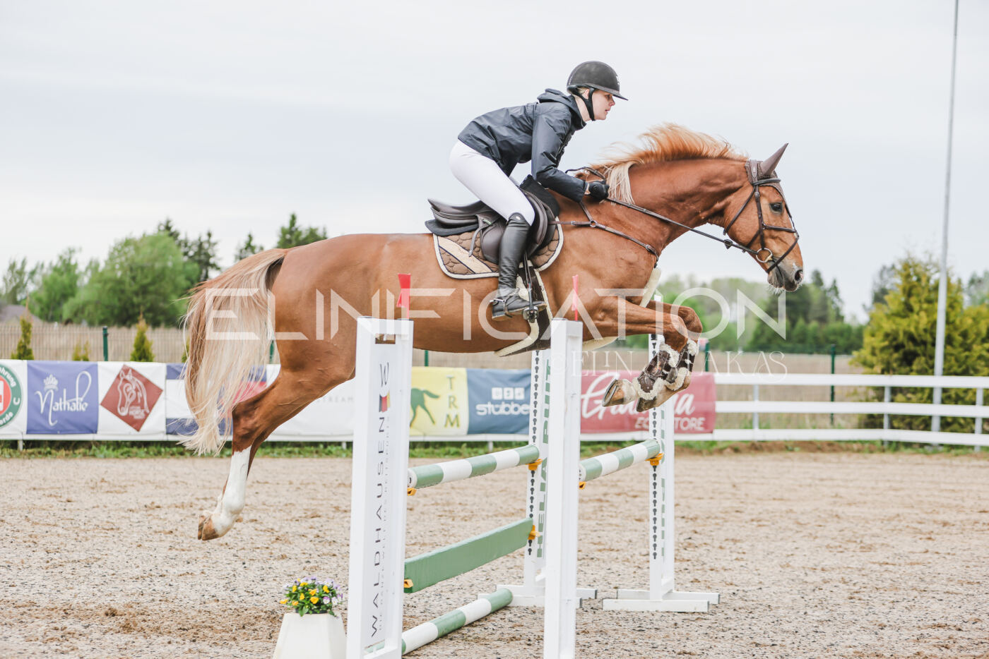 Gramina_Kevad_2026_105_091