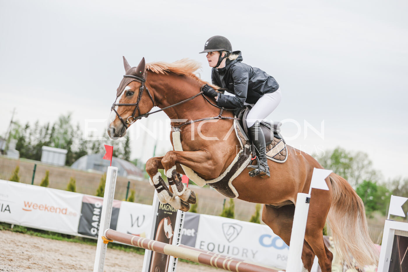 Gramina_Kevad_2026_105_096