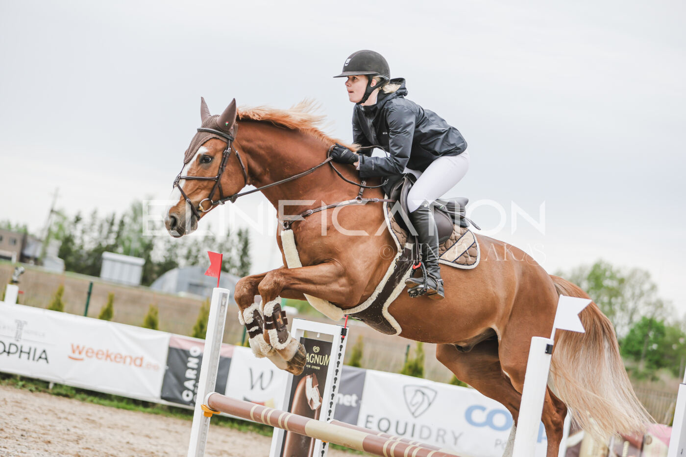 Gramina_Kevad_2026_105_097