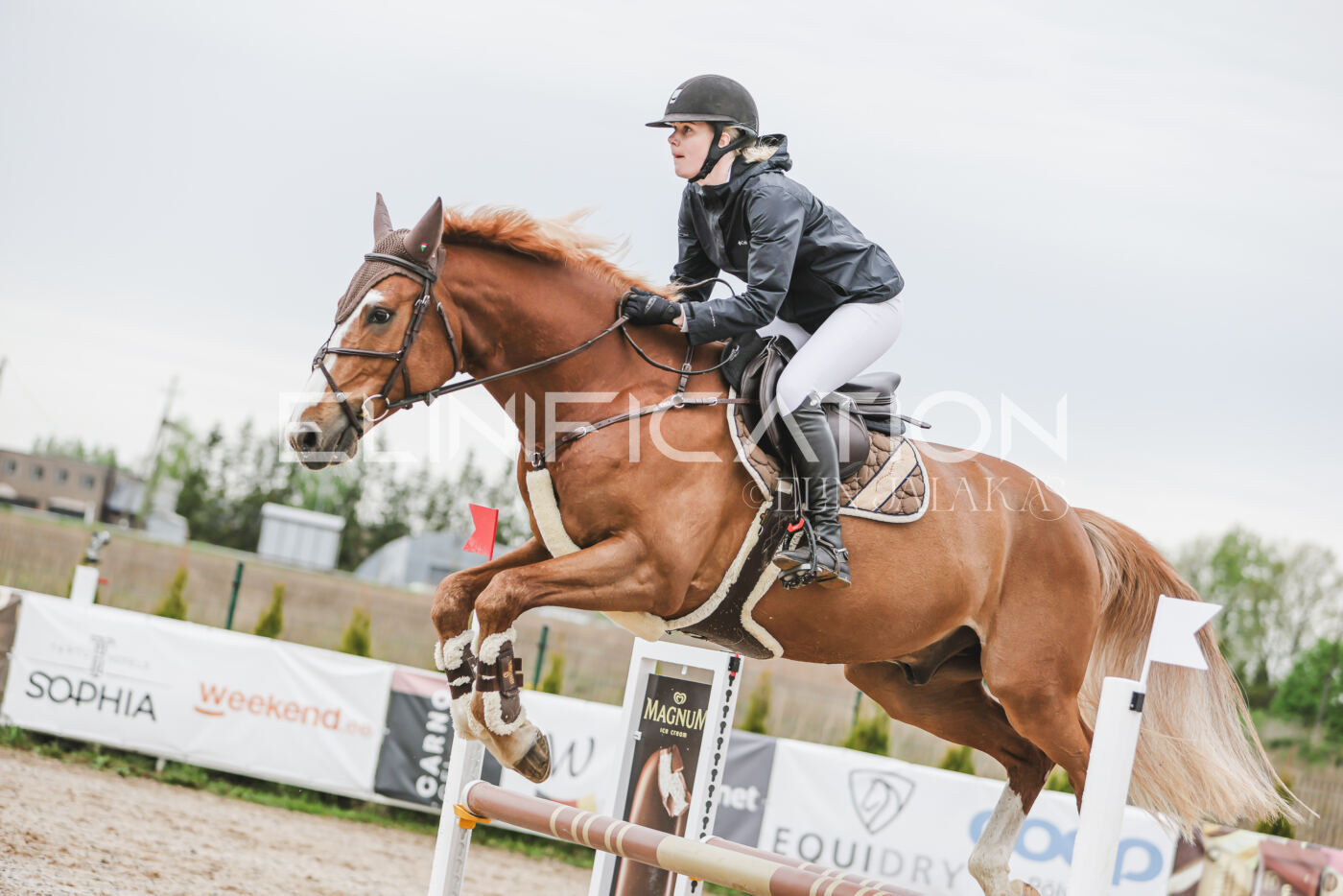 Gramina_Kevad_2026_105_098