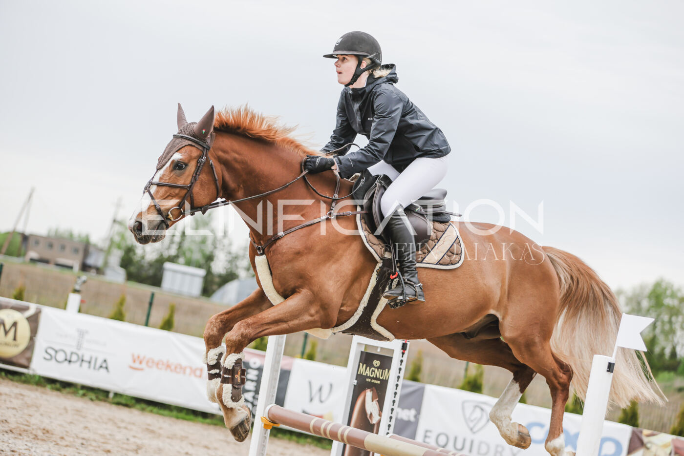 Gramina_Kevad_2026_105_099
