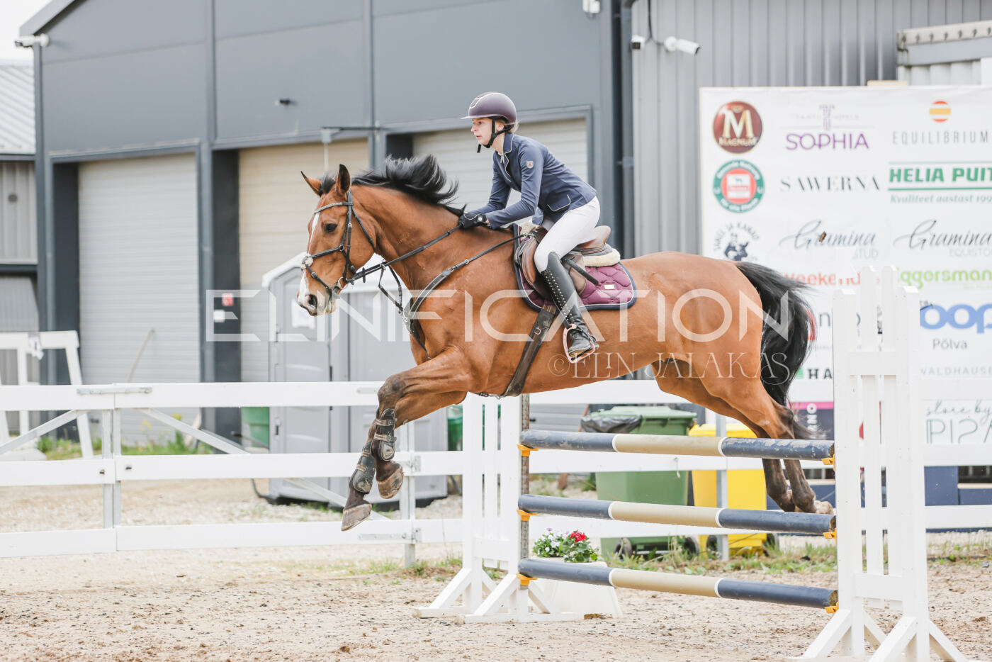 Gramina_Kevad_2026_105_104