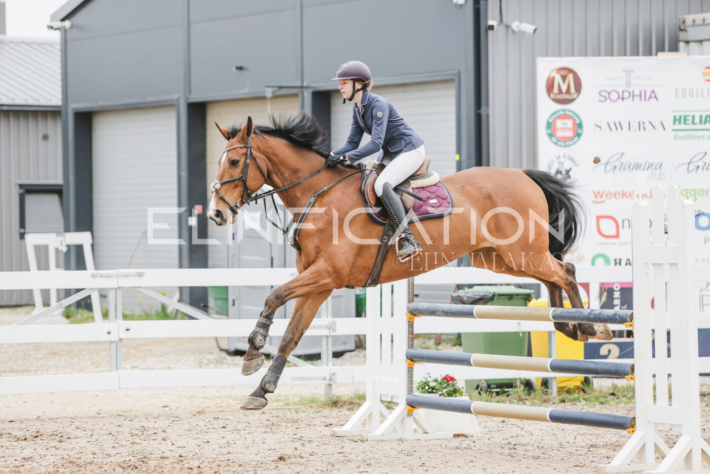 Gramina_Kevad_2026_105_105