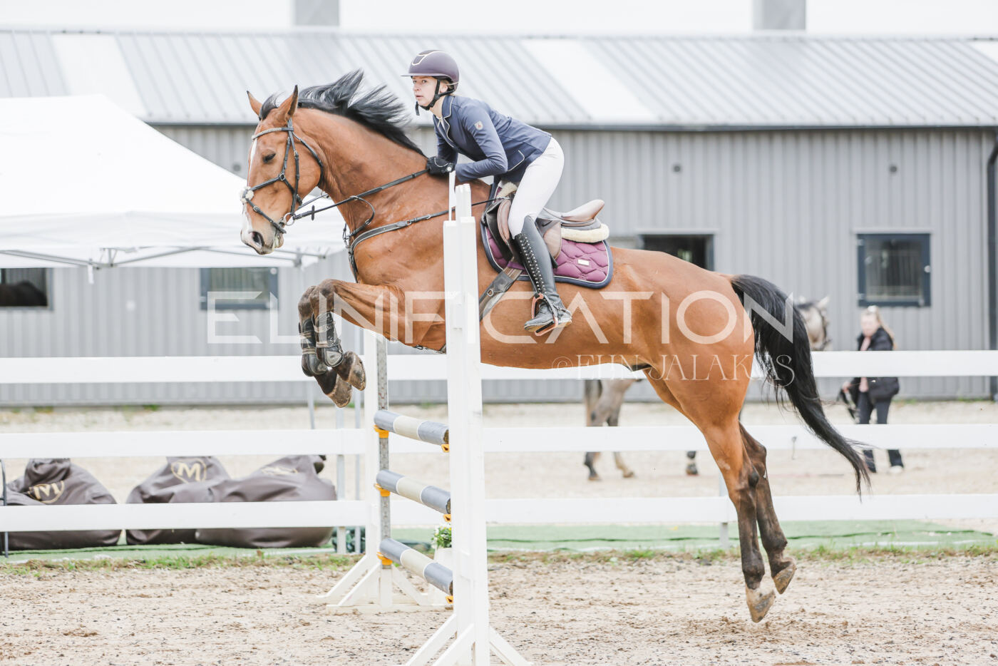 Gramina_Kevad_2026_105_106