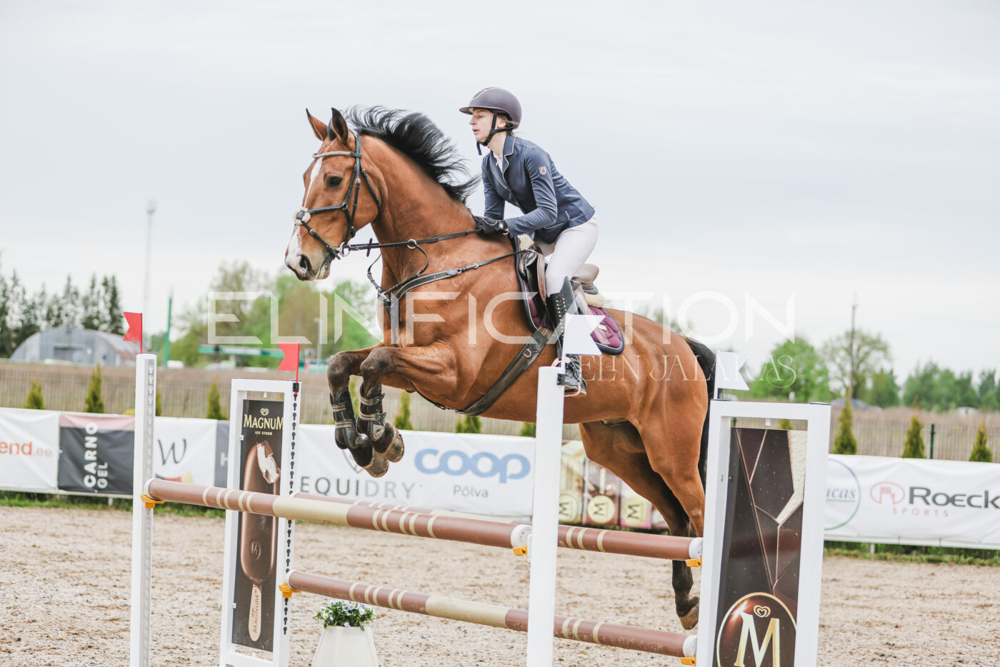 Gramina_Kevad_2026_105_108
