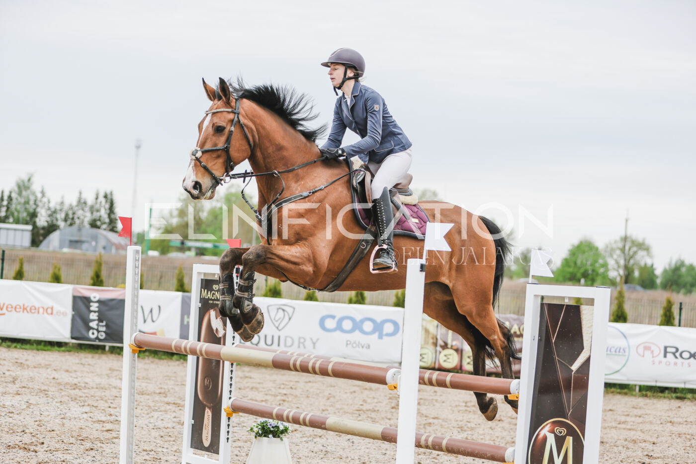 Gramina_Kevad_2026_105_109