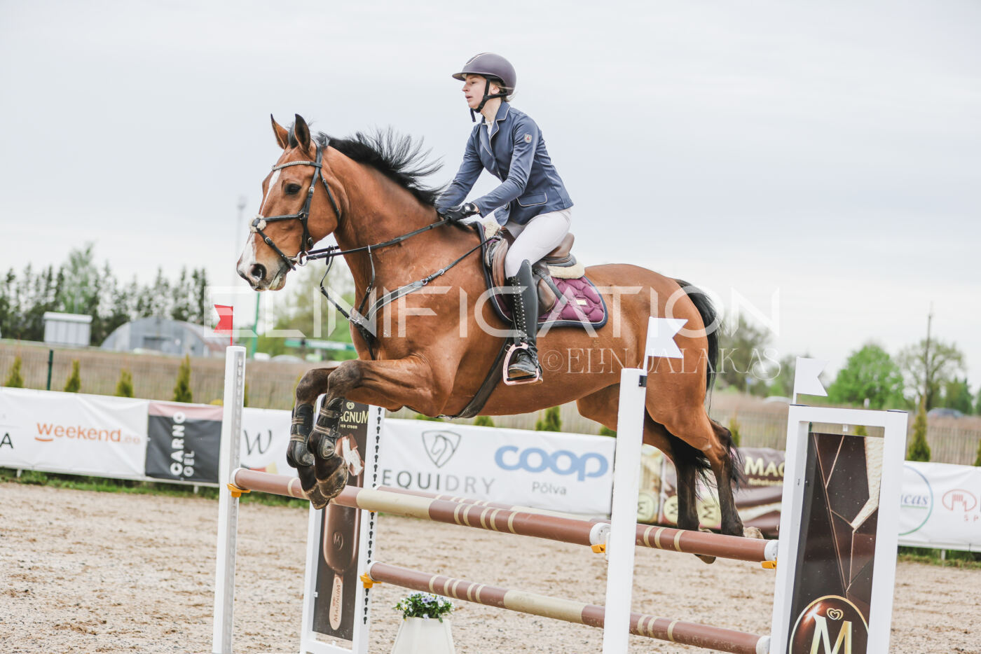 Gramina_Kevad_2026_105_110