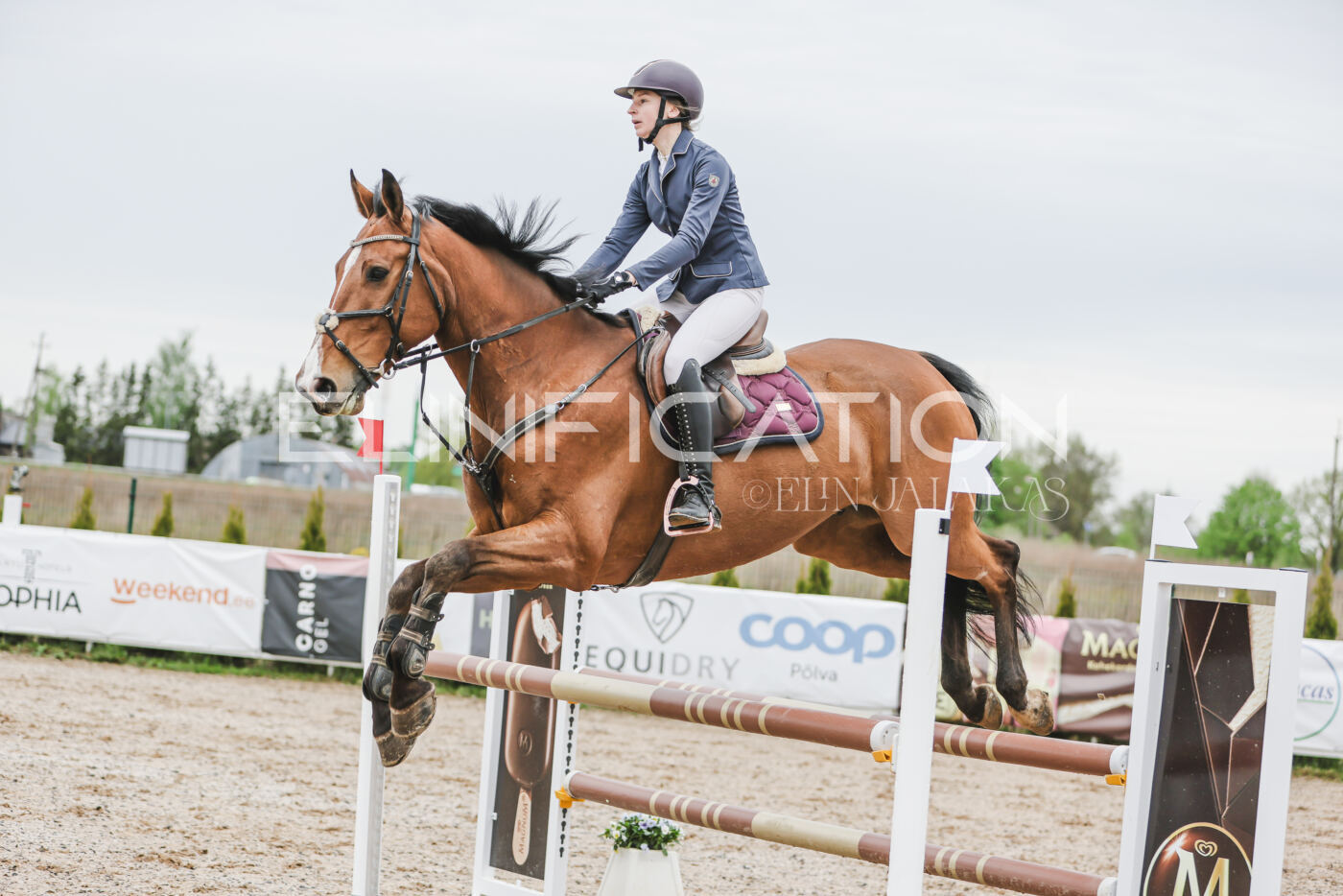 Gramina_Kevad_2026_105_111