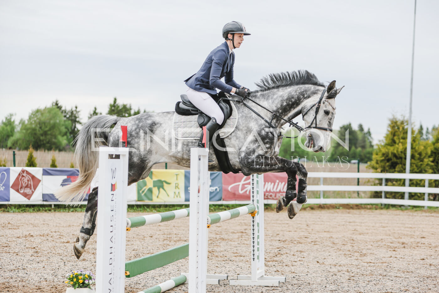 Gramina_Kevad_2026_105_113