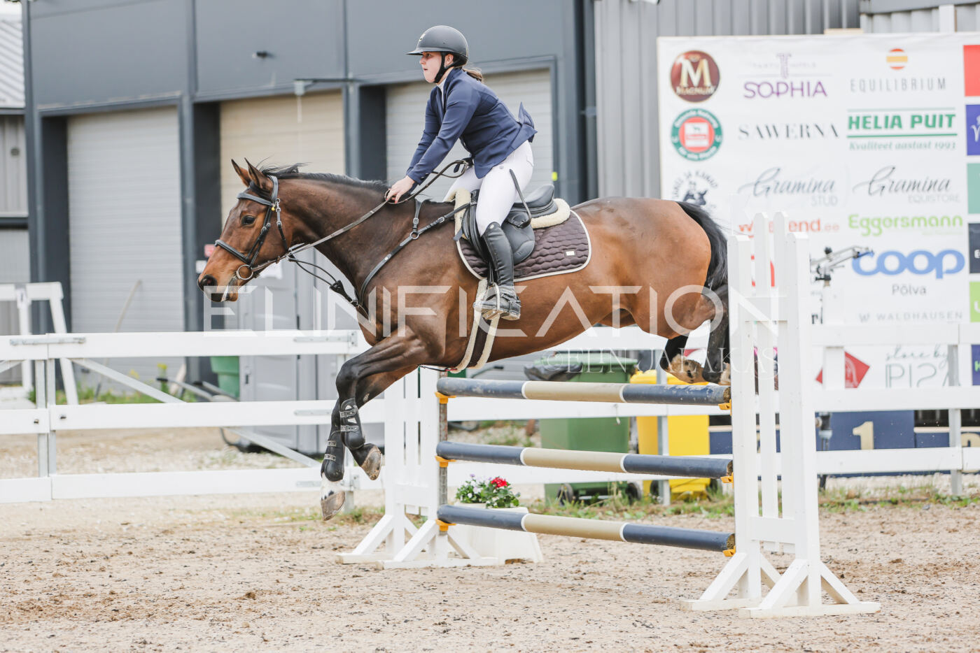 Gramina_Kevad_2026_105_131