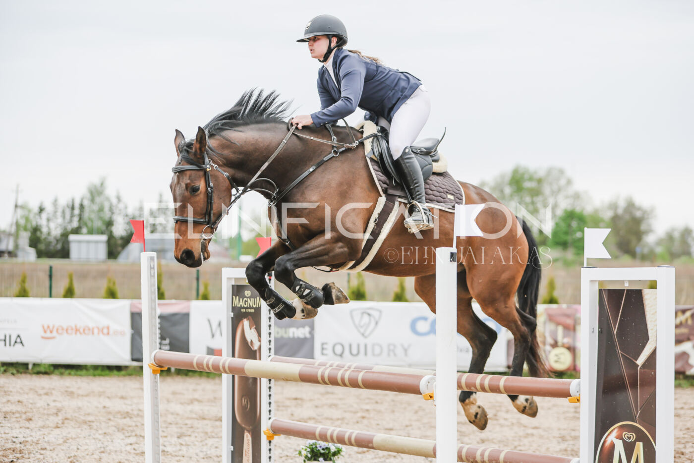 Gramina_Kevad_2026_105_133