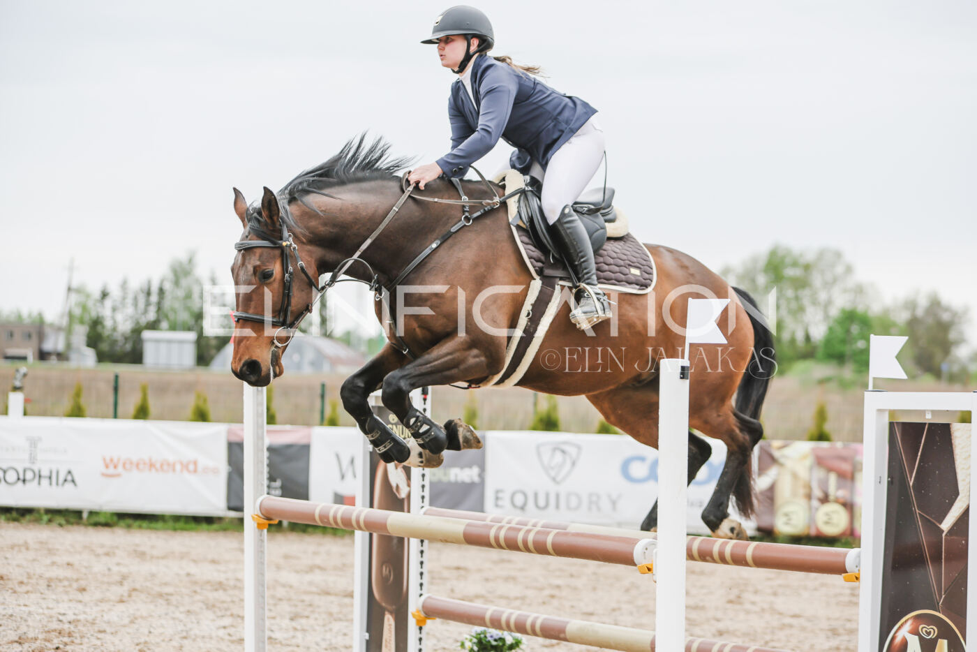 Gramina_Kevad_2026_105_134
