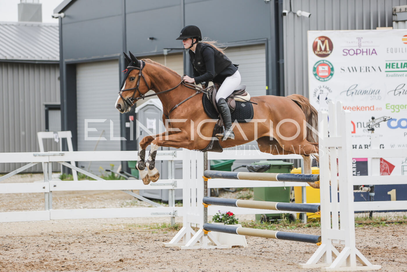 Gramina_Kevad_2026_105_136