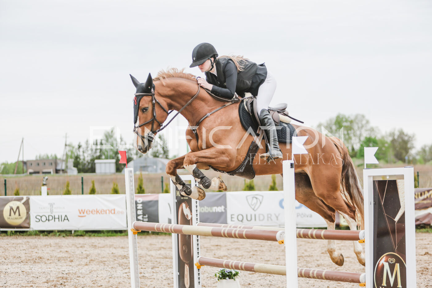 Gramina_Kevad_2026_105_143