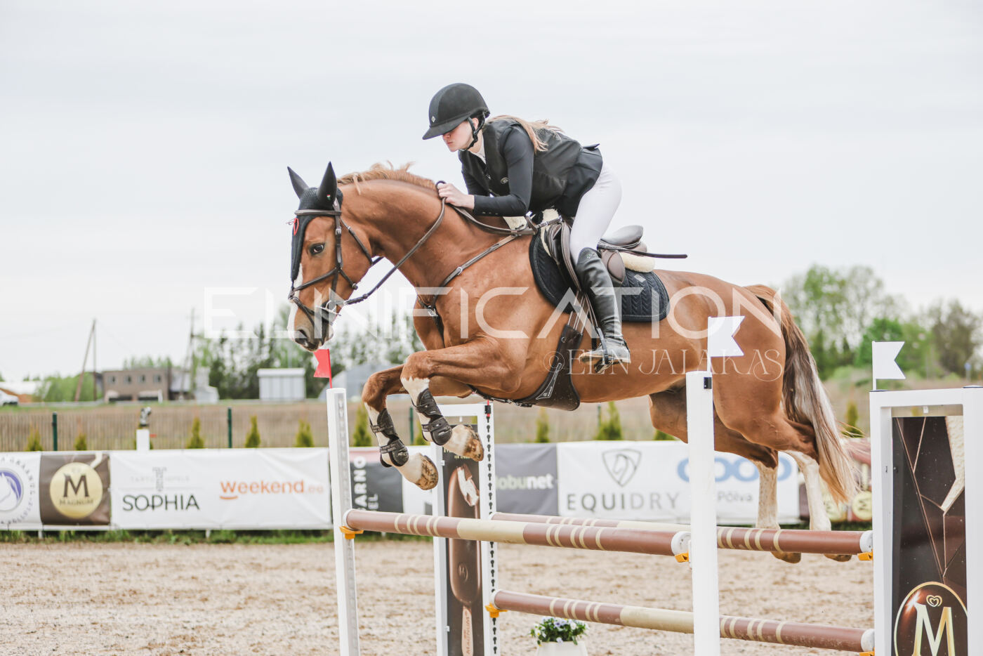 Gramina_Kevad_2026_105_144