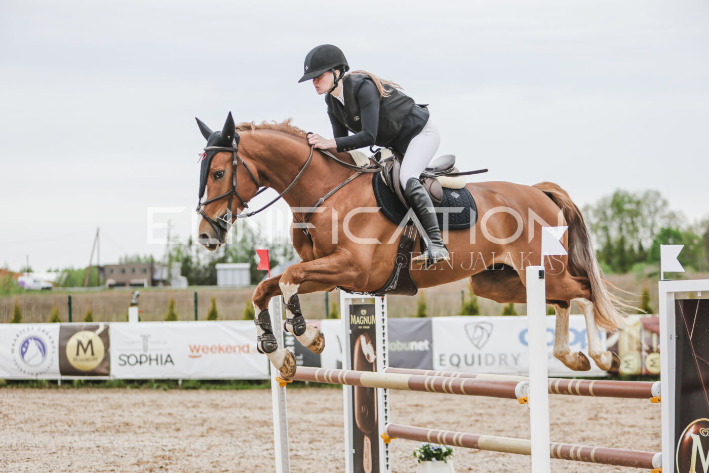 Gramina_Kevad_2026_105_145