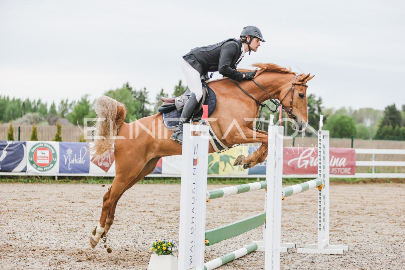 Gramina_Kevad_2026_105_149