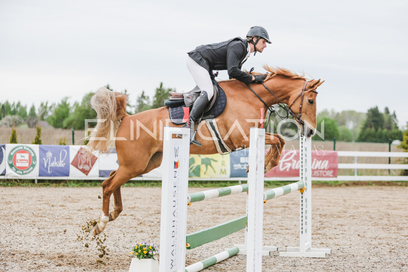 Gramina_Kevad_2026_105_150