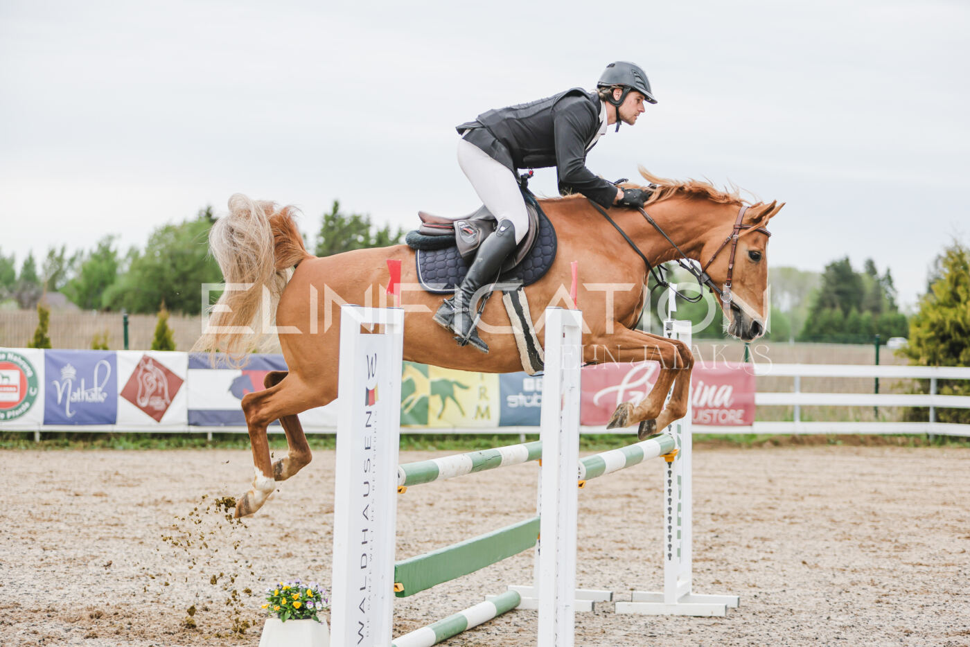 Gramina_Kevad_2026_105_151