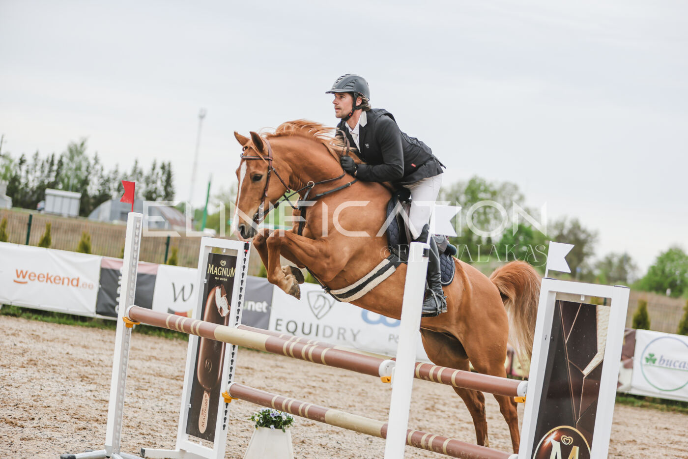 Gramina_Kevad_2026_105_155