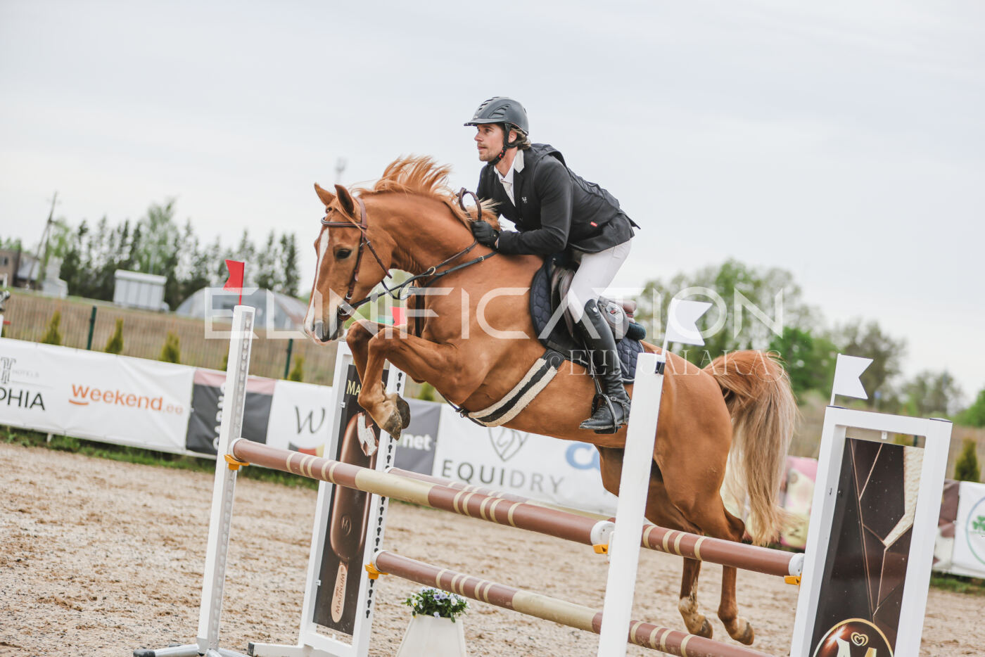 Gramina_Kevad_2026_105_156