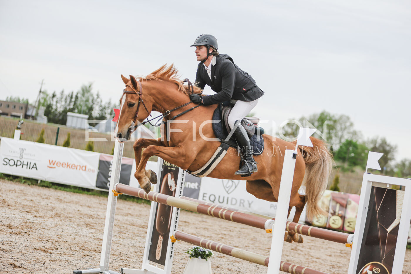 Gramina_Kevad_2026_105_157