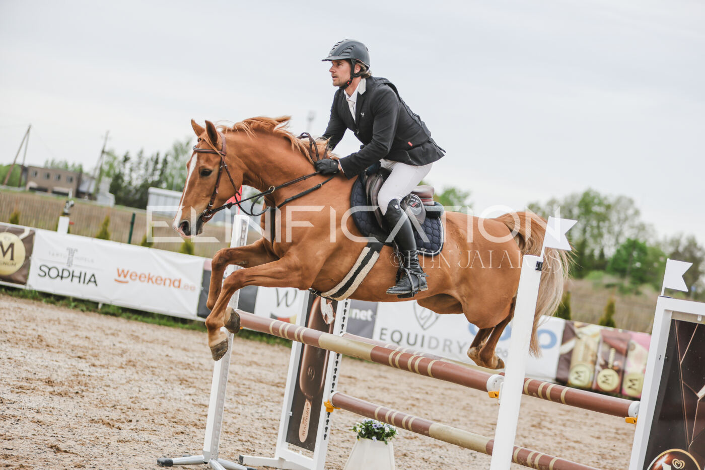 Gramina_Kevad_2026_105_158