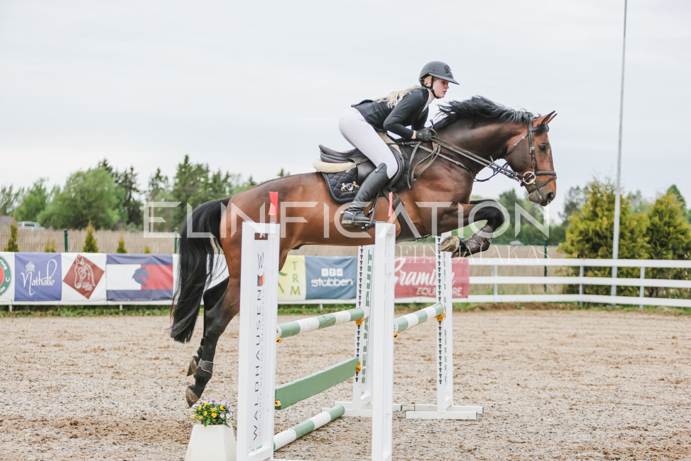 Gramina_Kevad_2026_105_163