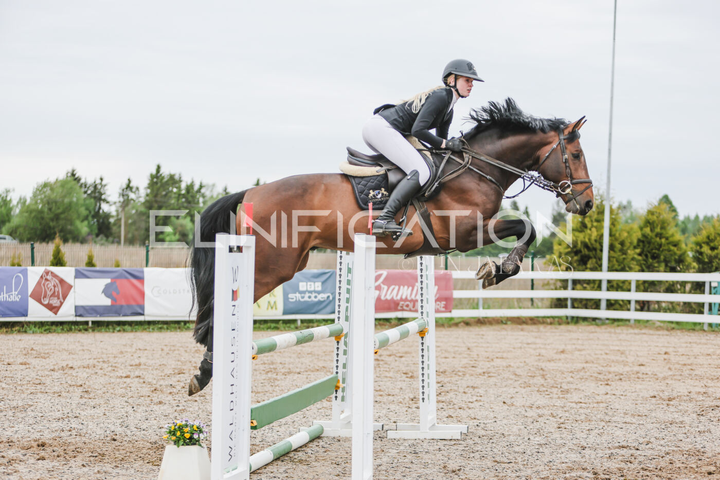 Gramina_Kevad_2026_105_164